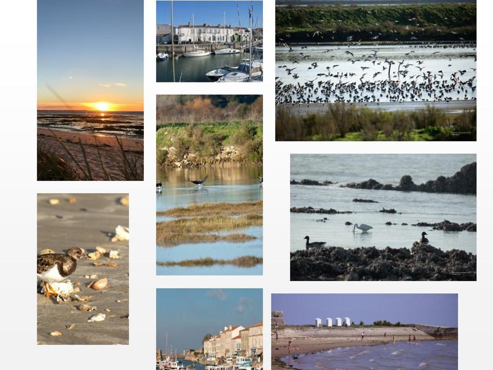 Ile De Re, La Danae, Velos, Wifi, Possibilite Cuisine, Linge, Parking Gratuit Saint-Martin-de-Ré Exterior foto